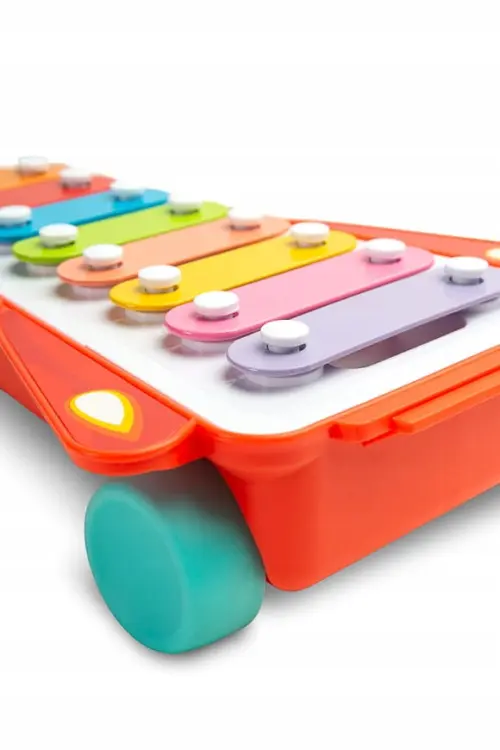 Toyz Zabawka Edukacyjna Tęczowe Cymbałki