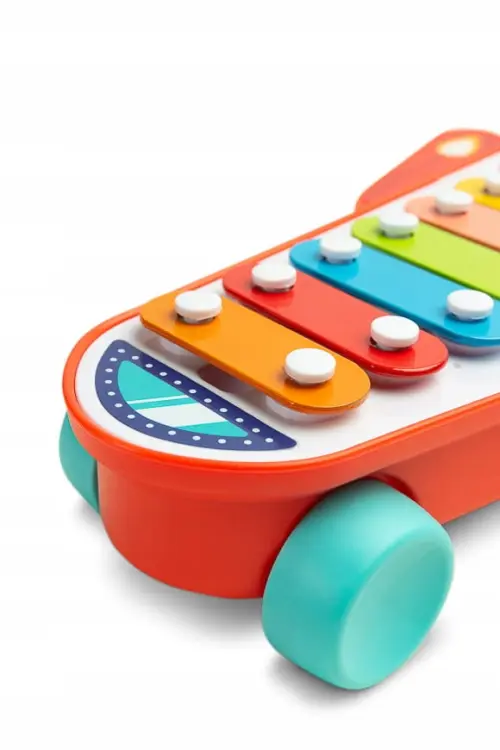 Toyz Zabawka Edukacyjna Tęczowe Cymbałki