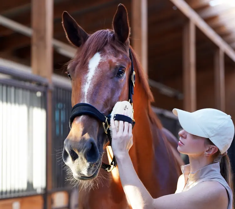 e0810c1cd70a7ff083cb632354c8a8cb