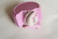 0d7919e340befdfdbb93fe020c5d2d2b