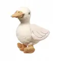 51cce10f889cbb8f9c7ee892f326e9a0