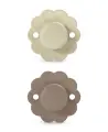 bb050c38514c11cc4d6c95575fd91c0a