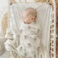 47557d935a35180a0297efd40abfb71c