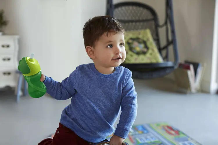 Philips Avent Kubek Ze Słomką 300ml 12+ Zielony 798/01
