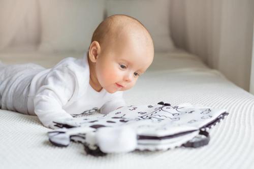 Jolly Baby Pluszowa Książeczka Edukacyjna Zwierzaki Sensory 0m+ 80456
