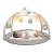 Chicco Mata Dla Niemowlaka 3w1 Enjoy Colurs Neutralna 2524